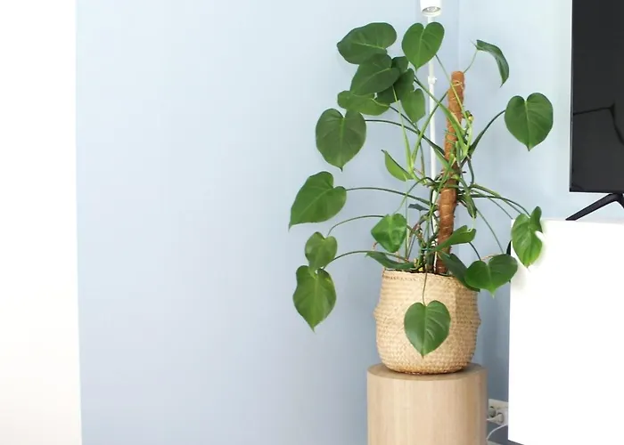 Halla With Sauna * Rovaniemi